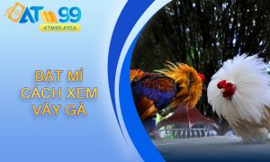 Bật Mí Cách Xem Vảy Gà